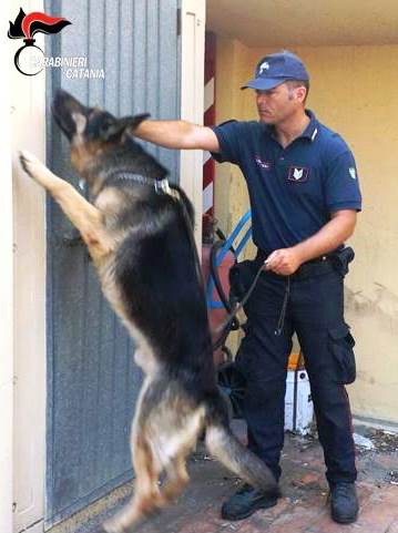 Santa Venerina, un arresto per spaccio e detenzione di marijuana