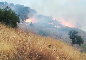 Calatabiano, incendio a ridosso della condotta idrica. Nuovo attentato?