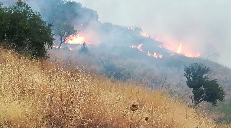Calatabiano, incendio a ridosso della condotta idrica. Nuovo attentato?