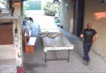 Incastrato il killer di Palagonia VIDEO