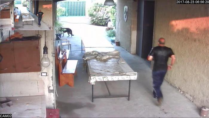 Incastrato il killer di Palagonia VIDEO