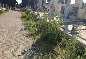 Giarre, cimitero nel degrado: erbacce e aree interdette al pubblico