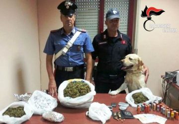 Catania, &ldquo;Ivan&rdquo; scova oltre un chilo di marijuana. Un arresto a San Giovanni Galermo