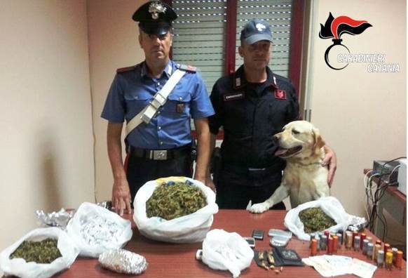 Catania, “Ivan” scova oltre un chilo di marijuana. Un arresto a San Giovanni Galermo