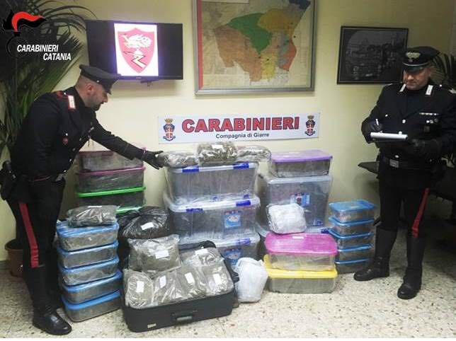 Giarre, colpo dei carabinieri: sequestrati 50 chili di marijuana. Arrestato 43enne ripostese