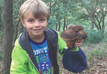 Il piccolo Alfredo e un libro per ragazzi che amano la natura e i funghi