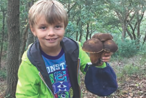 Il piccolo Alfredo e un libro per ragazzi che amano la natura e i funghi
