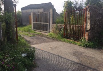 Giarre, blitz dei carabinieri in un frutteto: due arresti per furto aggravato