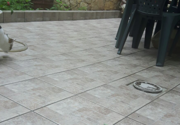 Giarre, topi a passeggio in via Gravina. Residenti esasperati VIDEO