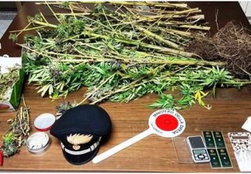 Castiglione di Sicilia: scoperta mini coltivazione di canapa indiana. Due fratelli di Linguaglossa in manette