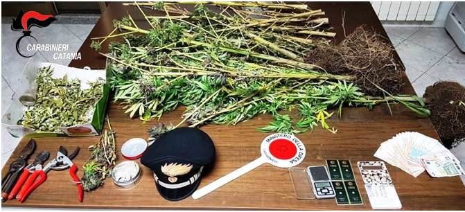 Castiglione di Sicilia: scoperta mini coltivazione di canapa indiana. Due fratelli di Linguaglossa in manette