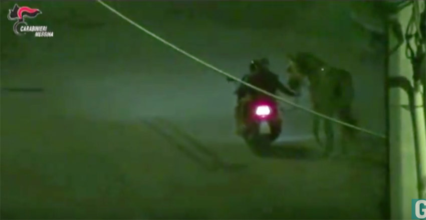Corse clandestine di cavalli: 6 arresti e 3 divieti di dimora nel messinese VIDEO