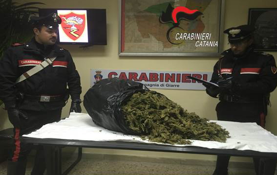 Giarre, nuovo colpo dei carabinieri: sequestrati 5 chili di marijuana