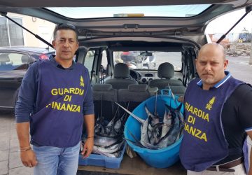 Catania, controlli della Guardia di finanza nei mercati ittici