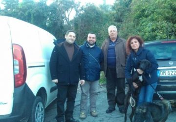 Mascali, curato e sterilizzato torna in libert&agrave; "Gentile"