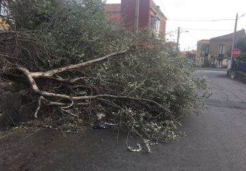 Giarre, da domani nuovi interventi di messa in sicurezza:  quartiere Satellite, Cimitero, parco Chico Mendes, via Gravina