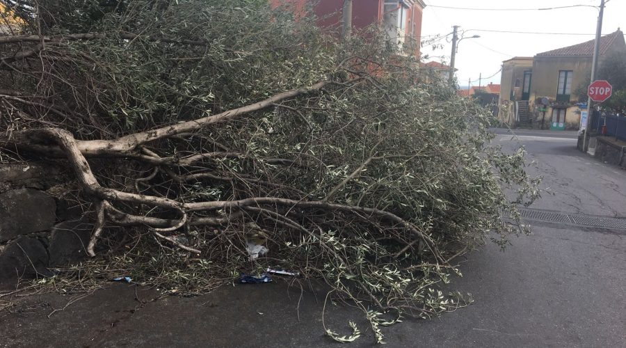 2018-01-04-PHOTO-00005055