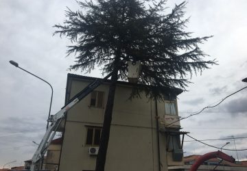 Giarre, interventi di messa in sicurezza dei pini al quartiere Satellite VIDEO