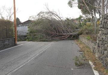 Danni per il forte vento: Santa Venerina chiede il riconoscimento dello stato di calamit&agrave;