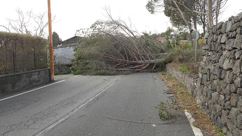 Danni per il forte vento: Santa Venerina chiede il riconoscimento dello stato di calamità