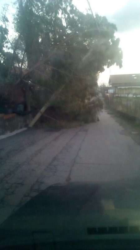 27C3C9FF-5D32-471E-81EA-0CE85C14465C