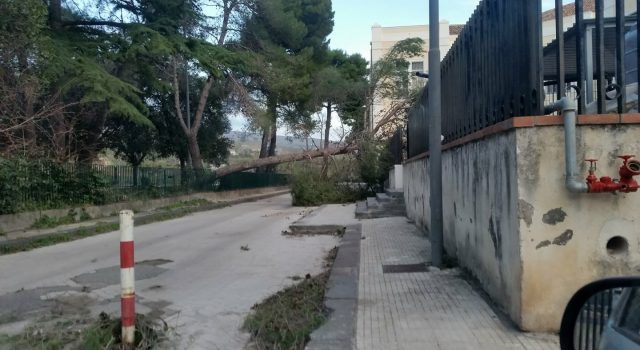 Raffiche di vento nel Catanese: disagi in autostrada. Chiuso in mattinata il Casello di Giarre DIRETTA – VIDEO