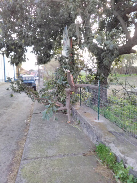 69D2409D-1722-476D-A354-B825FDEE4ABA