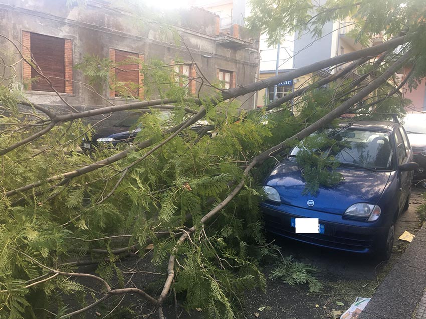 Giarre, raffiche di vento: albero cade su un’auto in via Teatro VIDEO