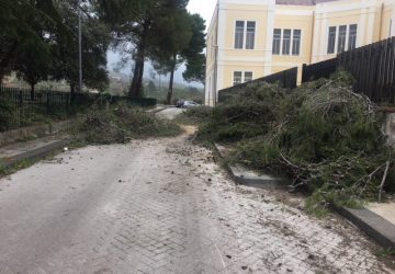 Danni vento, interventi parziali a Giarre. In corso messa in sicurezza pali a Miscarello