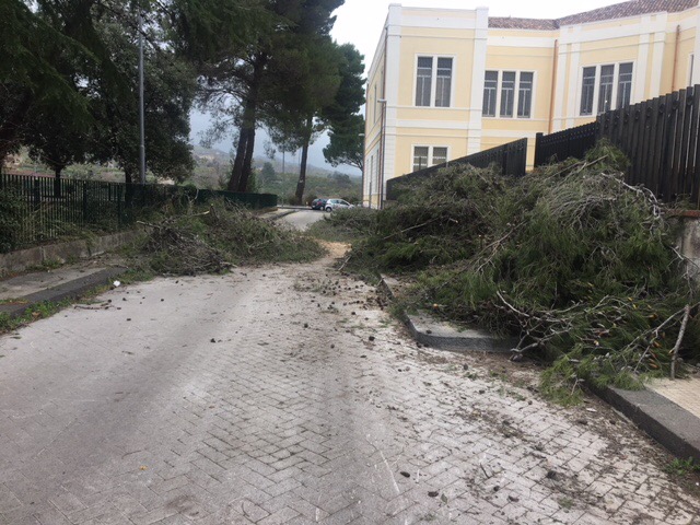 Danni vento, interventi parziali a Giarre. In corso messa in sicurezza pali a Miscarello