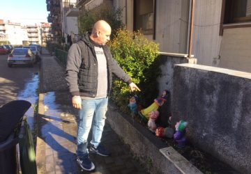 Giarre, via Romagna assediata dai topi. Residenti esasperati chiedono che il Comune intervenga VIDEO