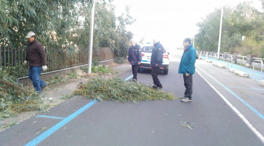 CD6E1A6E-D539-4779-8D93-7FFD135630A7