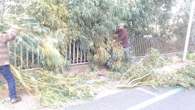 F1B94CCA-0891-40EA-999D-274CE9BB5DA3