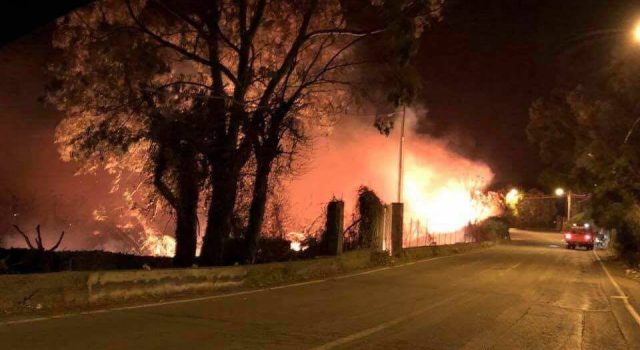 Vasto incendio a Marina di Cottone, ingenti danni nella riserva del Fiumefreddo e in due vivai  VIDEO – FOTO