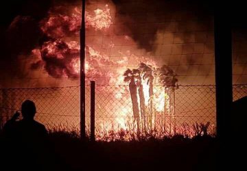 Vasto incendio a Marina di Cottone, ingenti danni nella riserva del Fiumefreddo e in due vivai  VIDEO - FOTO