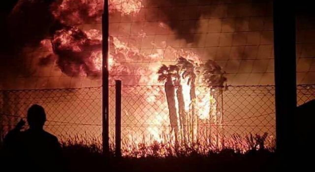 Vasto incendio a Marina di Cottone, ingenti danni nella riserva del Fiumefreddo e in due vivai  VIDEO – FOTO