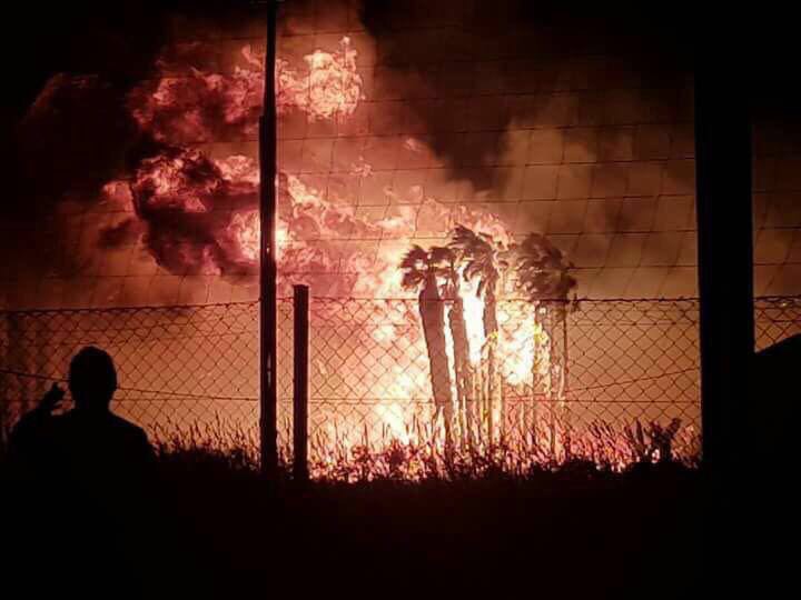 Vasto incendio a Marina di Cottone, ingenti danni nella riserva del Fiumefreddo e in due vivai  VIDEO – FOTO