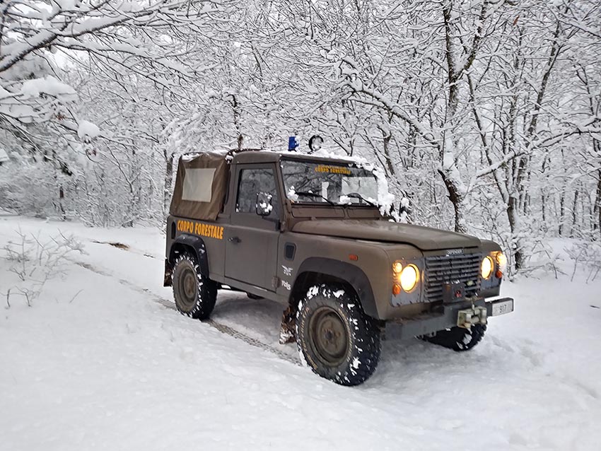 Cacciatori in aree protette: attività di prevenzione e repressione del Corpo Forestale