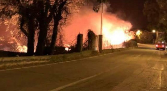 Vasto incendio a Marina di Cottone, ingenti danni nella riserva del Fiumefreddo e in due vivai  VIDEO – FOTO