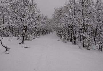 Piano Provenzana: salvate tre persone disperse sull&rsquo;Etna