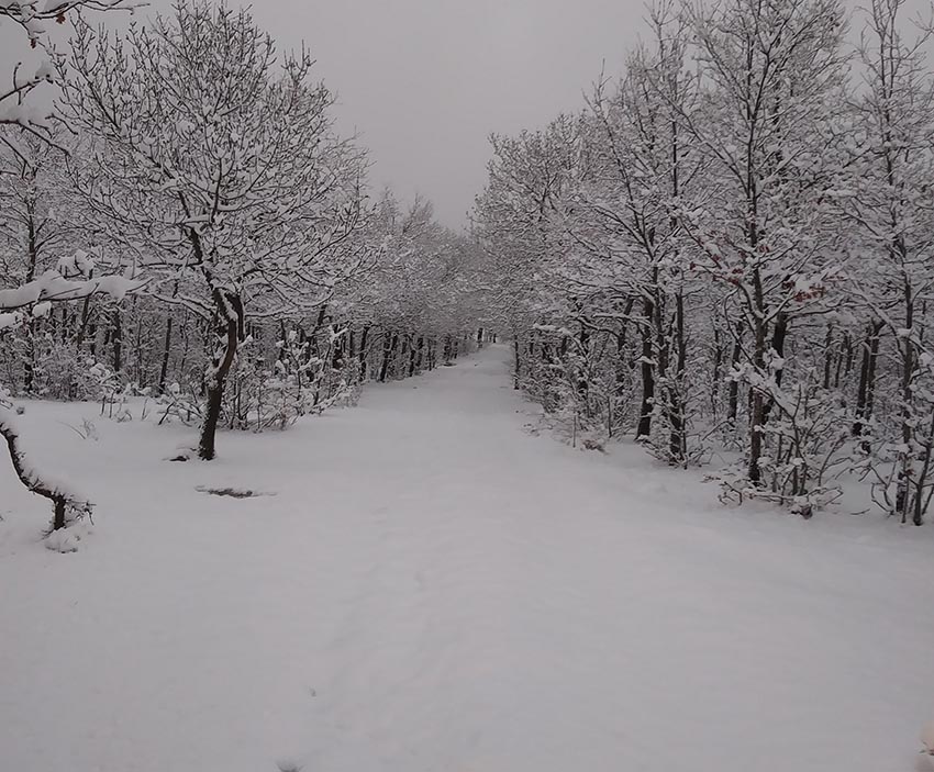 Piano Provenzana: salvate tre persone disperse sull’Etna