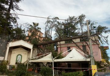 Zafferana, danni ingenti dopo il forte vento di ieri. I cittadini: "perch&egrave; non chiedere lo stato di calamit&agrave;?"