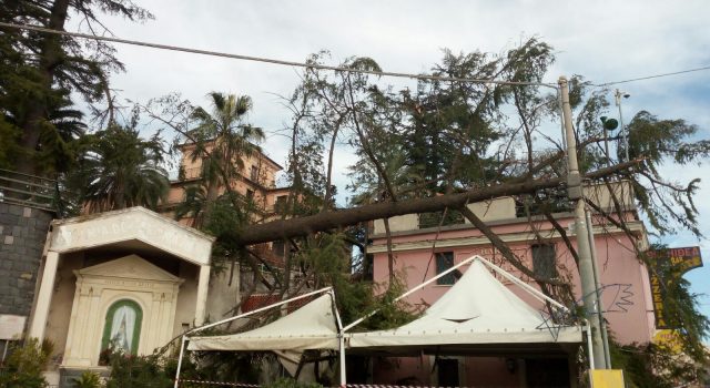 Zafferana, danni ingenti dopo il forte vento di ieri. I cittadini: “perchè non chiedere lo stato di calamità?”