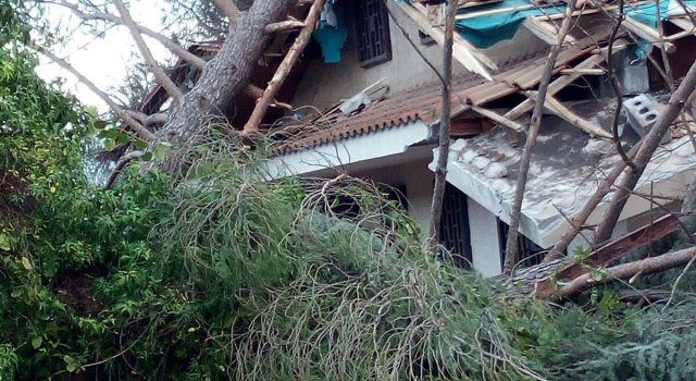 Zafferana, danni ingenti dopo il forte vento di ieri. I cittadini: “perchè non chiedere lo stato di calamità?”