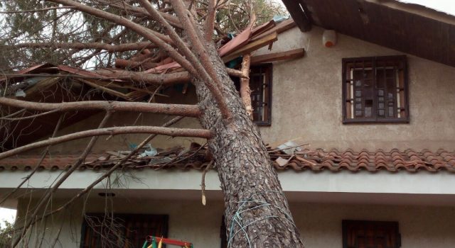 Zafferana, danni ingenti dopo il forte vento di ieri. I cittadini: “perchè non chiedere lo stato di calamità?”