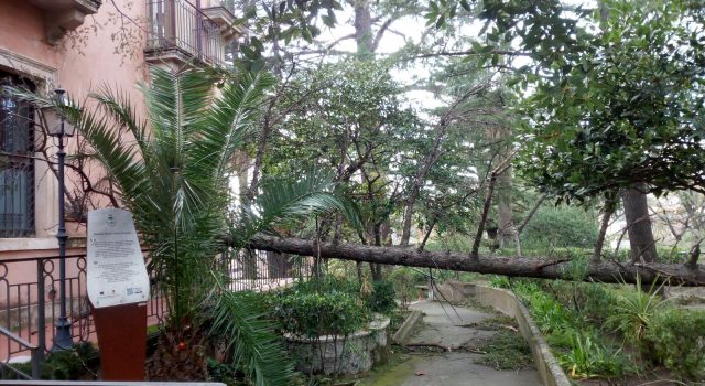 Zafferana, danni ingenti dopo il forte vento di ieri. I cittadini: “perchè non chiedere lo stato di calamità?”