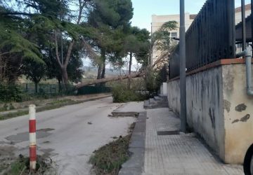 Giarre, al via il censimento dei danni per il forte vento del 3 e 4 gennaio