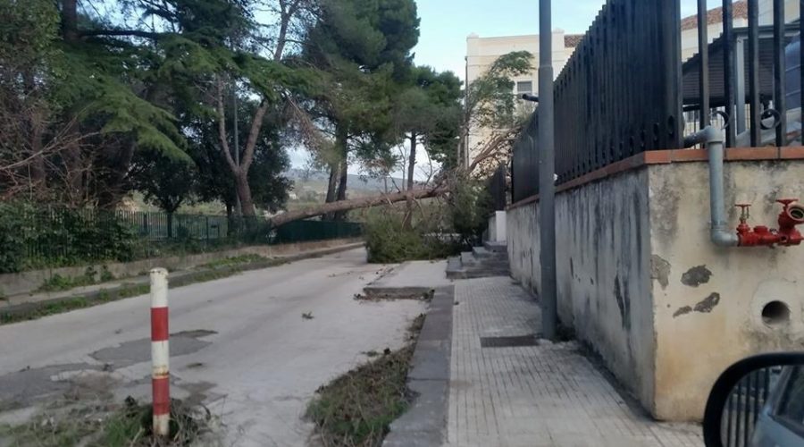 Giarre, al via il censimento dei danni per il forte vento del 3 e 4 gennaio
