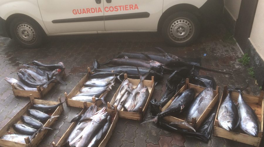 Riposto, sequestrati tre quintali di prodotto ittico sottomisura