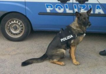 Controlli antidroga ad Adrano: due arresti
